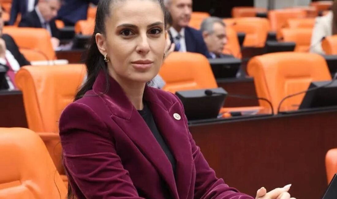 CHP Muğla Milletvekili Gizem Özcan, Turgutreis Sahil Güvenlik Limanı inşaatına