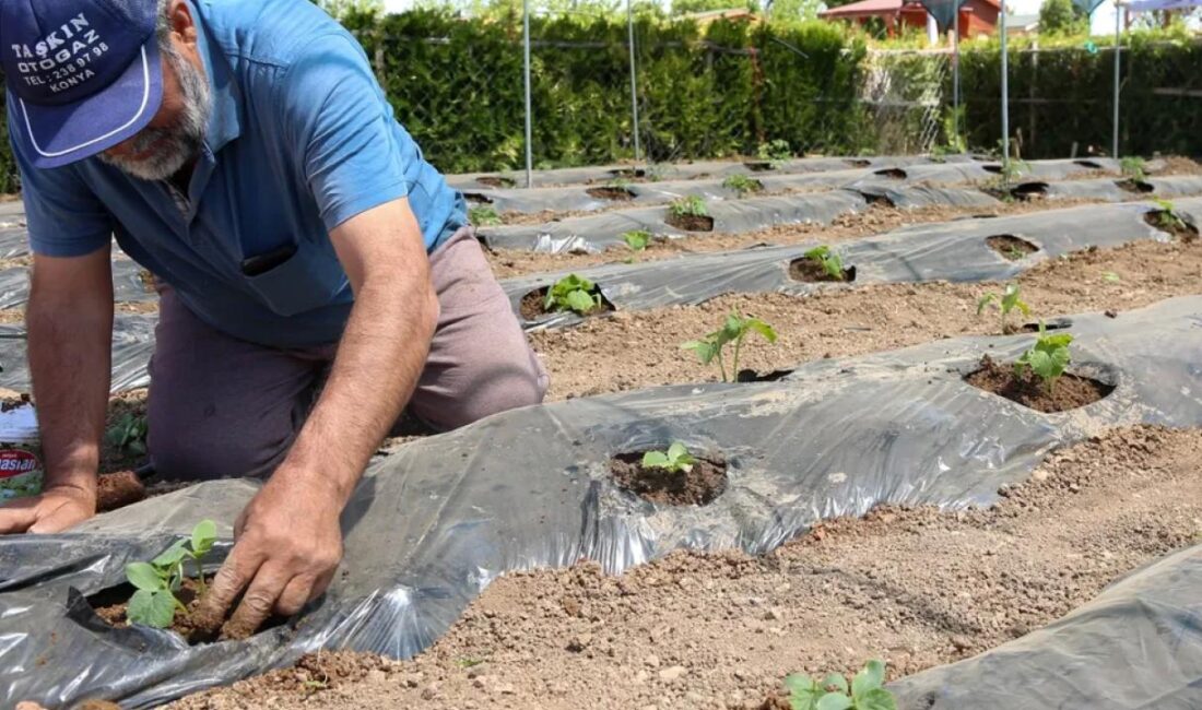 Konya Meram Belediyesinin, şehir hayatının yoğun temposundan uzaklaşmak ve doğayla