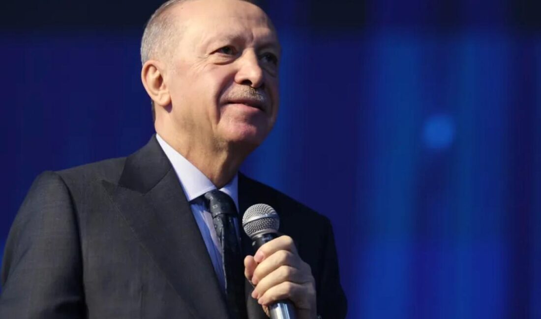 Cumhurbaşkanı ve AK Parti Genel Başkanı Recep Tayyip Erdoğan, tek