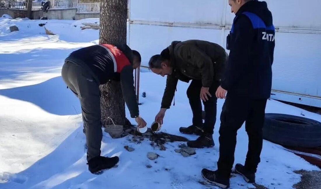 Malatya'da Doğanşehir Belediyesi, ilçede etkili olan kar yağışı sebebiyle yiyecek